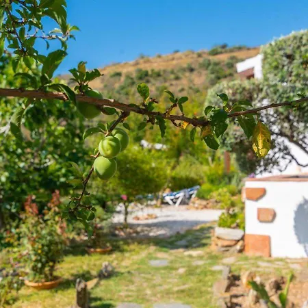 Casa Lorpica El Borge By Ruralidays Villa *